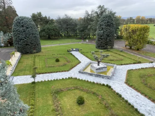 L'entreprise Audouard David a fait la taille de cupressus près de Saint-Gagné, Saint-Galmier, AUDOUARD Paysagiste