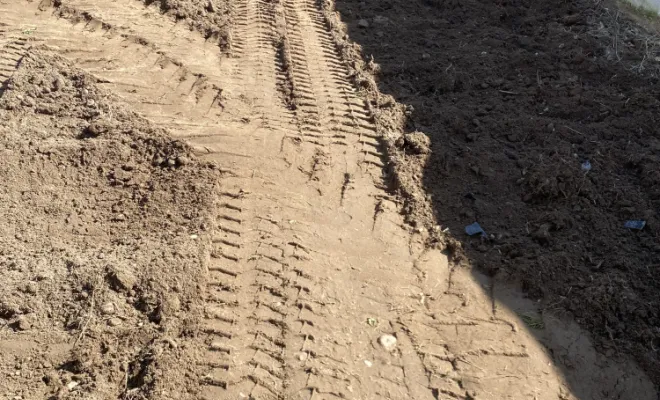 Arrachage haie de bambou MONTROND LES BAINS , Saint-Galmier, AUDOUARD Paysagiste