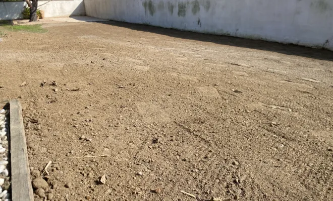 Arrachage haie de bambou MONTROND LES BAINS , Saint-Galmier, AUDOUARD Paysagiste